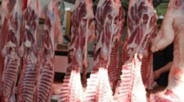 تقلبات أسعار اللحوم في أسواق كفر الشيخ وتأثيرها على حركة البيع والشراء