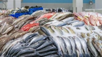 تقلبات مفاجئة في أسعار الأسماك والجمبري بالأسواق المصرية خلال تعاملات الأحد
