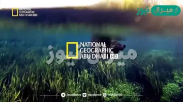 خطوات ضبط إشارة تردد قناة ناشيونال جيوغرافيك لمتابعة أحدث الأفلام الوثائقية العالمية