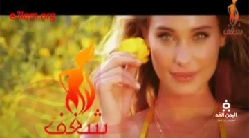 خطوات ضبط إشارة قناة شغف الجديدة عبر القمر الصناعي نايل سات 2026