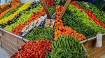 تفاوت ملحوظ في أسعار الخضروات بأسواق الأقصر وسط ثبات حركة البيع اليوم