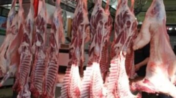 تفاوت ملحوظ في أسعار اللحوم بأسواق كفر الشيخ اليوم الأحد السادس من سبتمبر