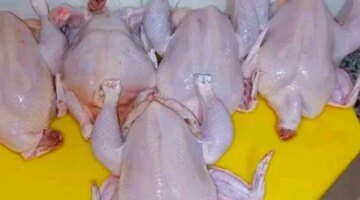 تقلبات أسعار الدواجن في أسواق القليوبية اليوم الأحد وسط تباين تكلفة الكيلو