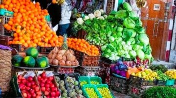 تقلبات حادة في أسعار الخضراوات والفاكهة بأسواق محافظة المنوفية اليوم الإثنين